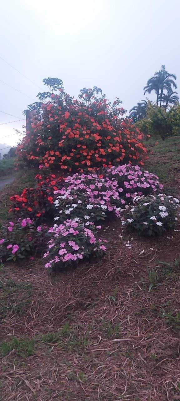 El Rincon De Las Flores Bajo Tigre Ngoại thất bức ảnh