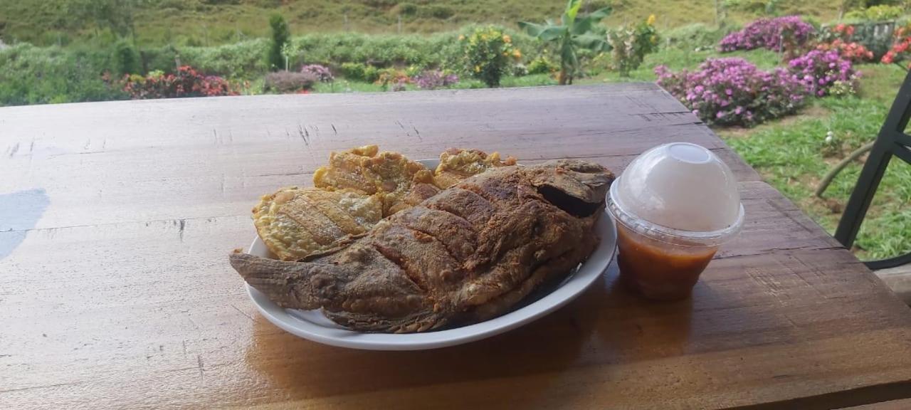 El Rincon De Las Flores Bajo Tigre Ngoại thất bức ảnh