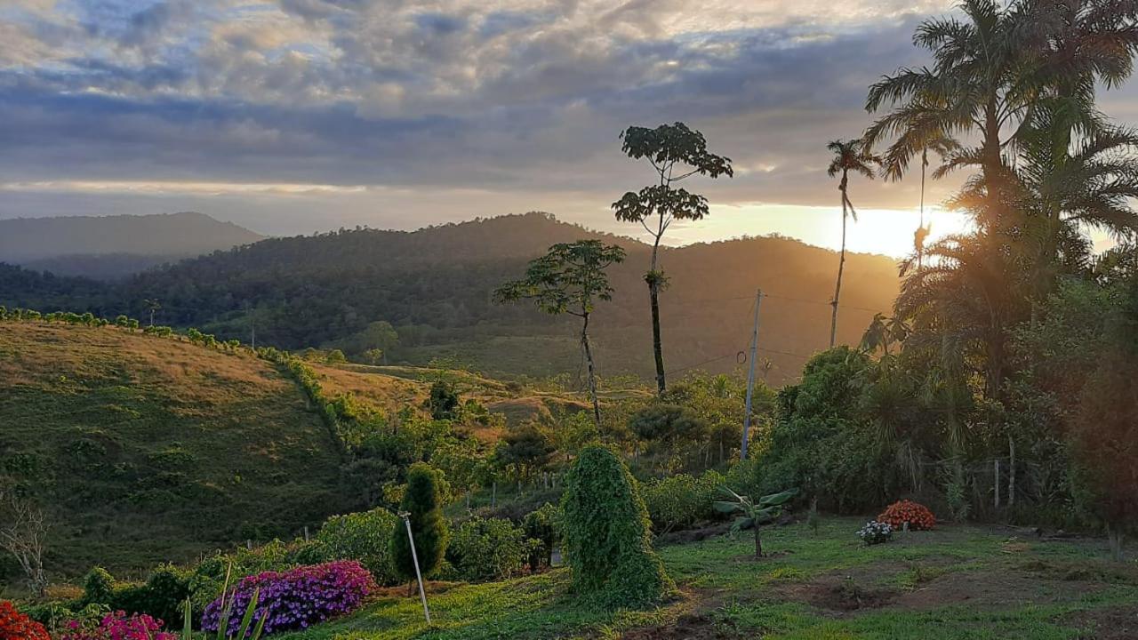 El Rincon De Las Flores Bajo Tigre Ngoại thất bức ảnh